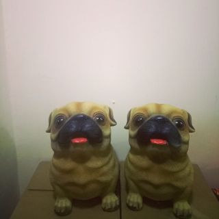 Chó tiết kiệm 5d