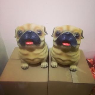 Chó tiết kiệm 5d