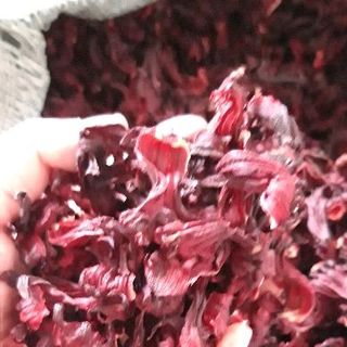 hibiscus khô