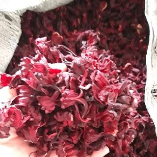 hibiscus khô