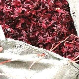hibiscus khô