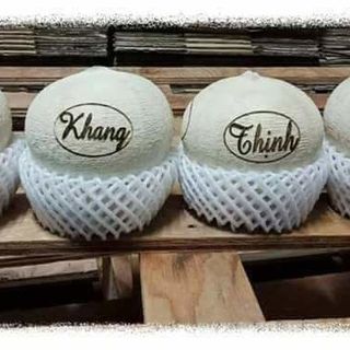 Dừa Thư Pháp