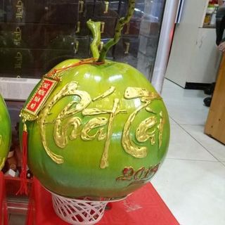 Dừa Thư Pháp Xanh