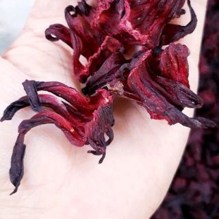 bụp giấm khô bình thuận