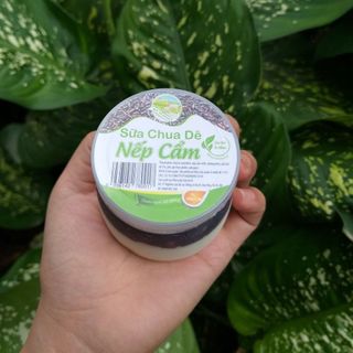 Chuyên sỉ sữa chua nếp cẩmsữa tươisữa chua dê giá tốt nhất thẳng từ công ty không qua trung gian