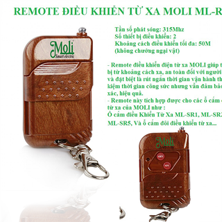 REMOTE ĐIỀU KHIỂN TỪ XA NÂU
