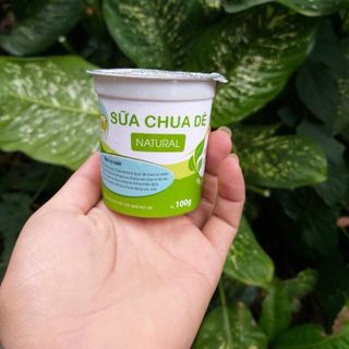 Sỉ sữa chua Dê từ công ty không qua trung gian