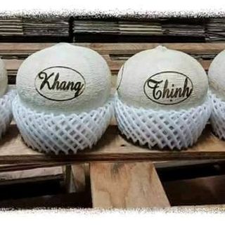 Dừa điêu khắc