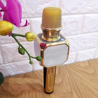 Mic hát SD10 - Micro bluetooth SD10