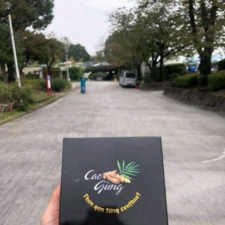 Cao gừng thần thánh