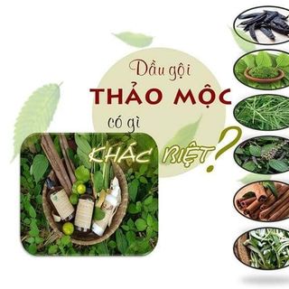 Dầu gội Thảo Mộc Trị rụng tóc