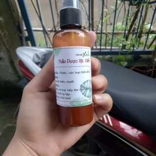 Xịt kiến thảo mộc hương quế