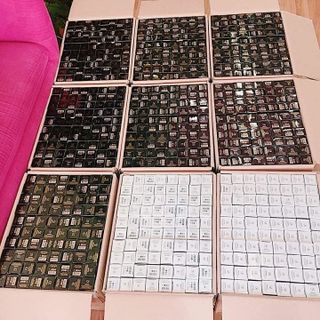 Nước hoa Dionel Hồ Ly