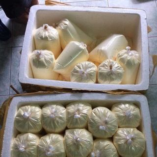 KEM BODY MẠNH SỈ