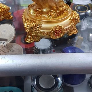 cây tài lộc loại nhỏ