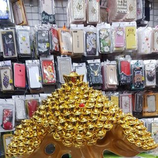 cây tài lộc