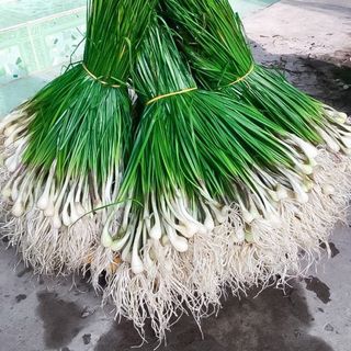 Củ Kiệu Tết miền Trung