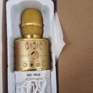 Mic hát karaoke WK - 868