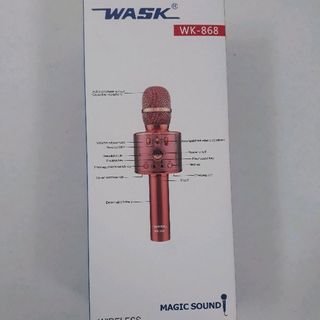Mic hát karaoke WK - 868