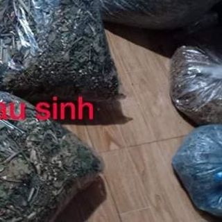 THUỐC ĐÔNG Y GIA TRUYỀN NGUYỄN THÁI