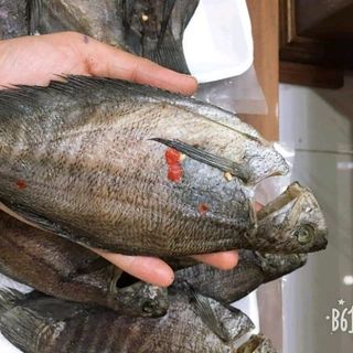 khô cá sặc lạt