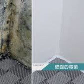 Tẩy Nấm Mốc Hàn Quốc Dạng Gel