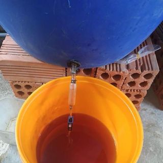 Mắm nhỉ cá cơm làm tại nhà