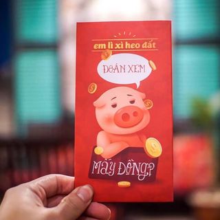 Bao Lì Xì - Thiết Kế Đẹp Độc - Mẫu Mã Đa Dạng