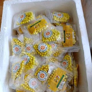 túi zip nghệ Mật Ong thảo mộc 37
