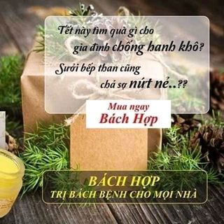kem bôi da bách hợp Tiến Hạnh