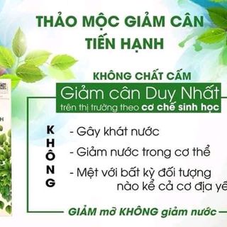 thảo mộc giảm cân Tiến Hạnh
