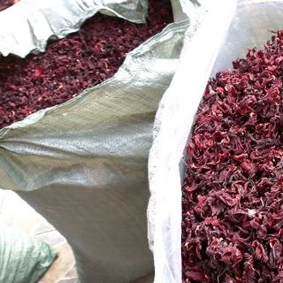 sỉ atiso đỏ khô SLL
