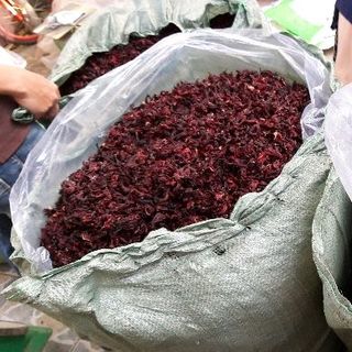 sỉ atiso đỏ khô SLL
