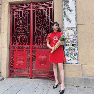 Áo dài cách tân heo thêu