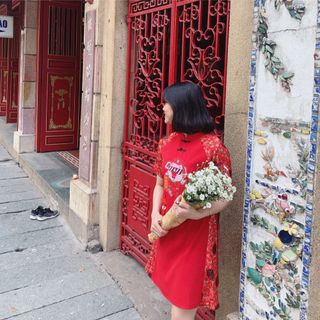 Áo dài cách tân heo thêu