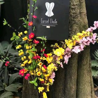 Latex nịch bụng giảm mỡ