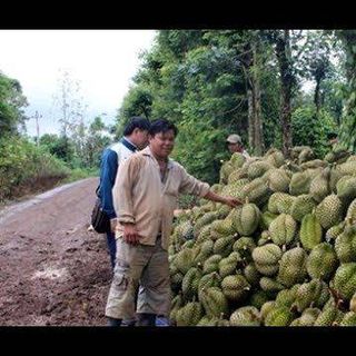 các sản phẩm nông nghiệp sạch