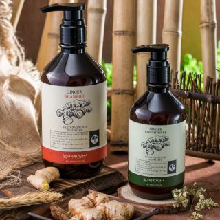 Combo Dầu gội xả Gừng- ngăn rụng tóc sạch da đầu trị gàu giá sỉ