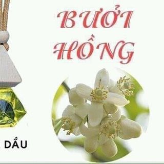 Tinh dầu thơm ngân bình giá sỉ