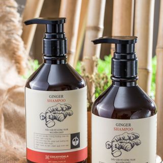 Dầu gội Gừng COCAYHOALA - ngăn rụng tóc sạch da đầu trị gàu