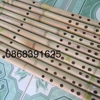 sáo trúc cho người mới học sáo