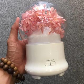 Máy khuếch tán sỉ cẩm tú cầu