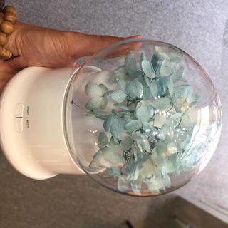 Máy khuếch tán sỉ cẩm tú cầu