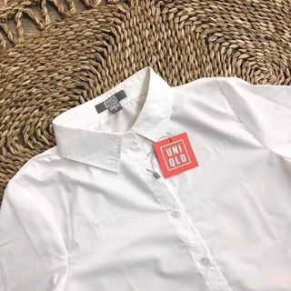 áo sơ mi uni