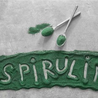 Tảo xoắn spirulina biển đen của nga giá sỉ​ giá bán buôn