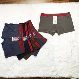 Quần lót nam Boxer NANO cotton