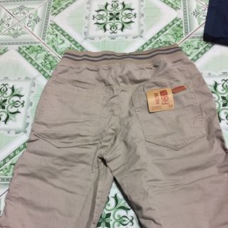 Sỉ Quần Short vải dày 2019