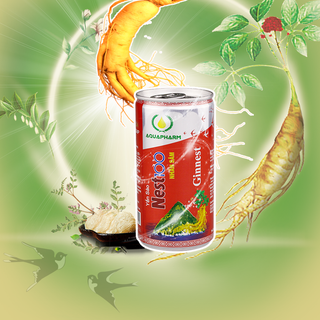 Nước Yến Sâm Ginnest