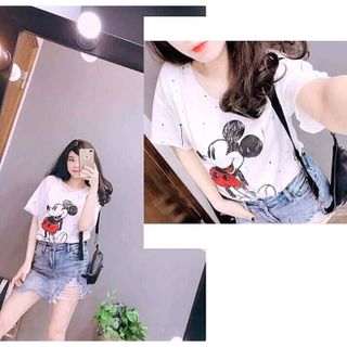 phông Mickey