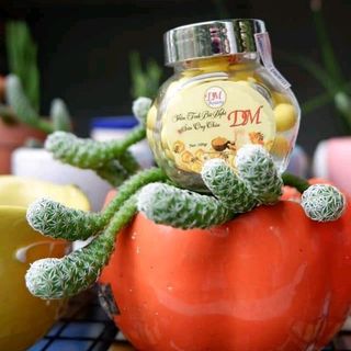 viên tinh nghệ sữa ong chúa